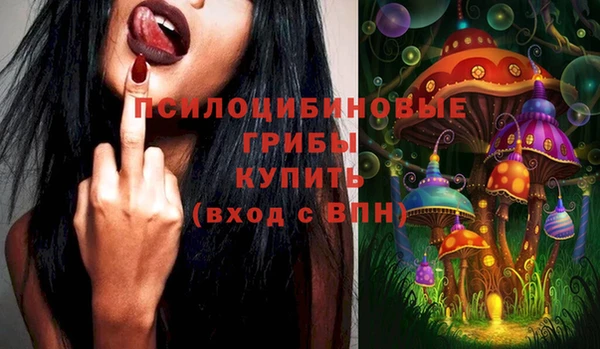 винт Алзамай