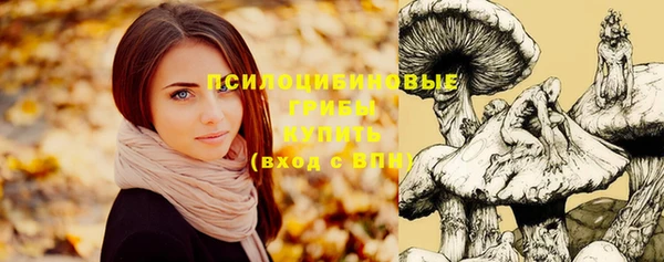 хмурый Алексеевка
