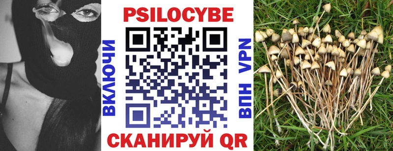 Псилоцибиновые грибы GOLDEN TEACHER  MEGA ТОР  Амурск  как найти закладки 